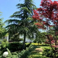 ویلاباغ 1400متری(با لنداسکیب قرینه پارک شهری)|فروش خانه و ویلا|نور, |دیوار