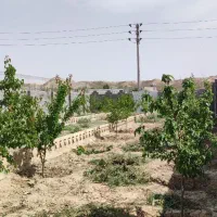 شاهنامه گوارشک فردوسی  فرماینه خرمدره زاک ماریان|فروش زمین و ملک کلنگی|مشهد, توس فردوسی|دیوار
