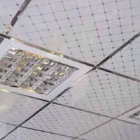 کنافکاری و نقاشی و نور پردازی ساختمان|خدمات پیشه و مهارت|رامسر, |دیوار