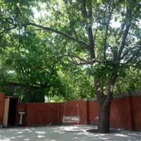 ویلا. باغ. سوئیت در سپیدان سربست|اجارهٔ کوتاه‌مدت ویلا و باغ|شیراز, گویم|دیوار