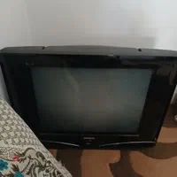 شش عددپشتی