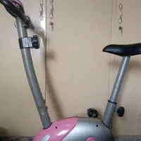 دوچرخه ثابت