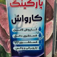 نیرو کار در کارواش