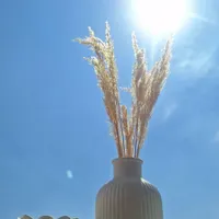 سنگ مصنوعی . دکوری|مجسمه، تندیس، ماکت|شیراز, کوشک میدان|دیوار