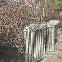 کاکتوس حفاظ خانه ویلا پنجره نیزه ای تیز|مصالح و تجهیزات ساختمان|شیراز, شهرک گلدشت حافظ‎|دیوار