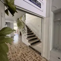 گرافیست