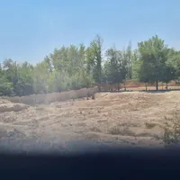 فروش زمین ۴۸۵ متری در کارلادان
