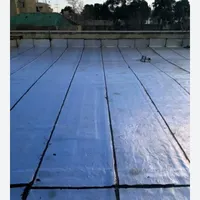 ایزوگام