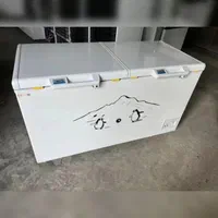 یخچال فریزر سفارشی ساز صنعتی اوناکس صندوقی|فروشگاه و مغازه|تهران, جمهوری|دیوار