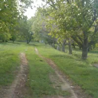 باغچه و زمین واقع در توپراک قلعه 18 هزار متر مربع|فروش زمین و ملک کلنگی|ارومیه, |دیوار