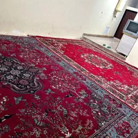 اجاره روزانه/هفتگی/ماهانه آپارتمان ۹۰ متری|اجارهٔ کوتاه‌مدت آپارتمان و سوئیت|زابل, |دیوار
