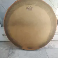 آموزش دفنوازی بانوان