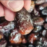 کشمش چرخ شده،خرمابدون هسته،ضایعات خرمامخصوص آبگیری|خوردنی و آشامیدنی|کرج, دهقان ویلا|دیوار