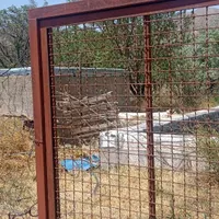 ۳۲۰۰۰ متر باغ در روستای الوند|فروش دفتر صنعتی، کشاورزی، تجاری|خرمدره, |دیوار