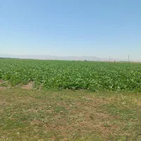 فروش ۱۳ هکتار زمین آبی