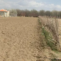 فروش زمین کشاورزی منصور کندی(1230متری)|فروش دفتر صنعتی، کشاورزی، تجاری|میاندوآب, |دیوار