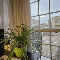 ۶۷متر،۲خ،تکواحدی،طبقه۱ در ۱۶متری اول همایی