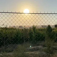 زمین کشاورزی پیشوا ورامین مناسب گلخانه|فروش زمین و ملک کلنگی|تهران, حسن‌آباد|دیوار