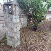 زمین تجاری اداری ۱۳۰۰ متر سنگر بعداز دانشگاه ۳۶۶۷|فروش زمین و ملک کلنگی|سنگر, |دیوار