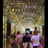 منبع ریسه هلدر ریسه سوزنی توری قندیلی|ریسه و چراغ تزئینی|شیراز, فخرآباد (دروازه کازرون)|دیوار