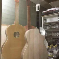 اموزش گیتار و خوانندگی صددرصد تضمینی|خدمات آموزشی|شهریار, |دیوار