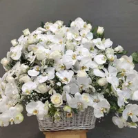 سبد گل تاج گل جام گل ترحیم تبریک|گل و گیاه طبیعی|تهران, شهرک محلاتی|دیوار