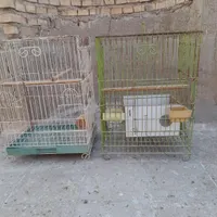 قفس طوطی یا کاسکو