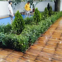 خدمات باغبانی و تعویض خاک در منزل وشرکت