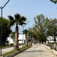فروش زمین شهرکی سنددار منطقه جنگلی سیسنگان(کد۱۷۱)|فروش زمین و ملک کلنگی|نوشهر, |دیوار