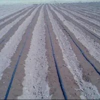 تولید نوار تیپ|عمده‌فروشی|اصفهان, ارداجی|دیوار