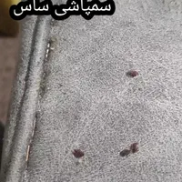 سمپاشی ساس سوسک کنه موش سمپاشی ۱۰۰٪ تضمینی باضمانت|خدمات نظافت|مشهد, توس|دیوار