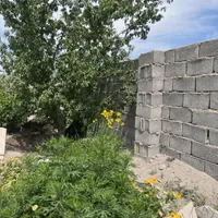 باغ و‌باغچه/چهاردیواری/تک برگ/کوچه باغی|فروش زمین و ملک کلنگی|کرج, شهریار|دیوار