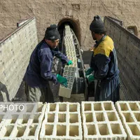 بلوکه سفال آجر سه گل ده گل آژند ( سفارش مستقیم)|مصالح و تجهیزات ساختمان|مشهد, رضاشهر|دیوار