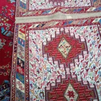 ورنی