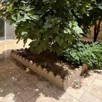 ۱۲۵ متر سه خواب/۱۱۰ متر حیاط دربست/ تاپ لوکیشن|فروش آپارتمان|اصفهان, طامه|دیوار