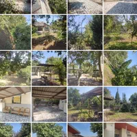 اجاره سوییت