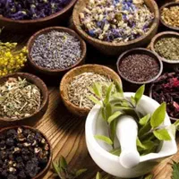 دوره آموزشی گیاهان دارویی و طب سنتی + تاسیس عطاری