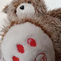 خرس تدی