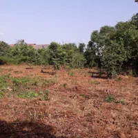 فروش زمین ۱۱۸۰متر با دو کاربری مسکونی حوزه شهری|فروش زمین و ملک کلنگی|چابکسر, |دیوار