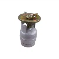 پیک نیک 1 کیلویی باسری