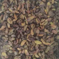 کشمش آبگیری|خوردنی و آشامیدنی|کرج, مهرویلا|دیوار