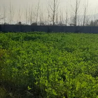باسلام خرید از شما کار از من