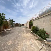 باغچه دور دیوار ۲۵۰متری / آب و برق و گاز / شاهنامه|فروش زمین و ملک کلنگی|مشهد, توس (بلوار توس)|دیوار