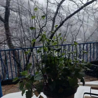 باغ ویلا دوخوابه دنج در زشک زیبا