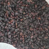 پخش کشمش آفتابی میدان تره بارمرکزی|خوردنی و آشامیدنی|تهران, شهرک شریعتی|دیوار