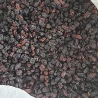پخش کشمش آفتابی میدان تره بارمرکزی|خوردنی و آشامیدنی|تهران, شهرک شریعتی|دیوار