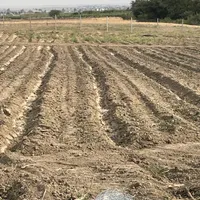 ۲۰۰مترزمین باغی فنس کشی شده کنار باشگاه سوارکاری