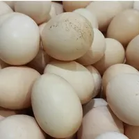 تخم مرغ تازه محلی