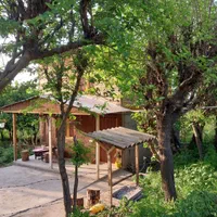 اجاره روزانه کلبه جنگلی