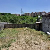 زمین چهاردیواری ۲۲۳ متر بر اصلی کوهسار با سند|فروش زمین و ملک کلنگی|تهران, شهران شمالی|دیوار